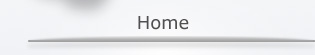 homepage button on